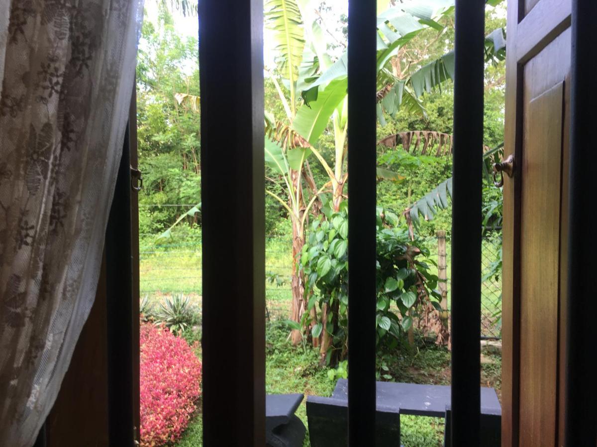 Owls Nest Hotel Udawalawe Kültér fotó