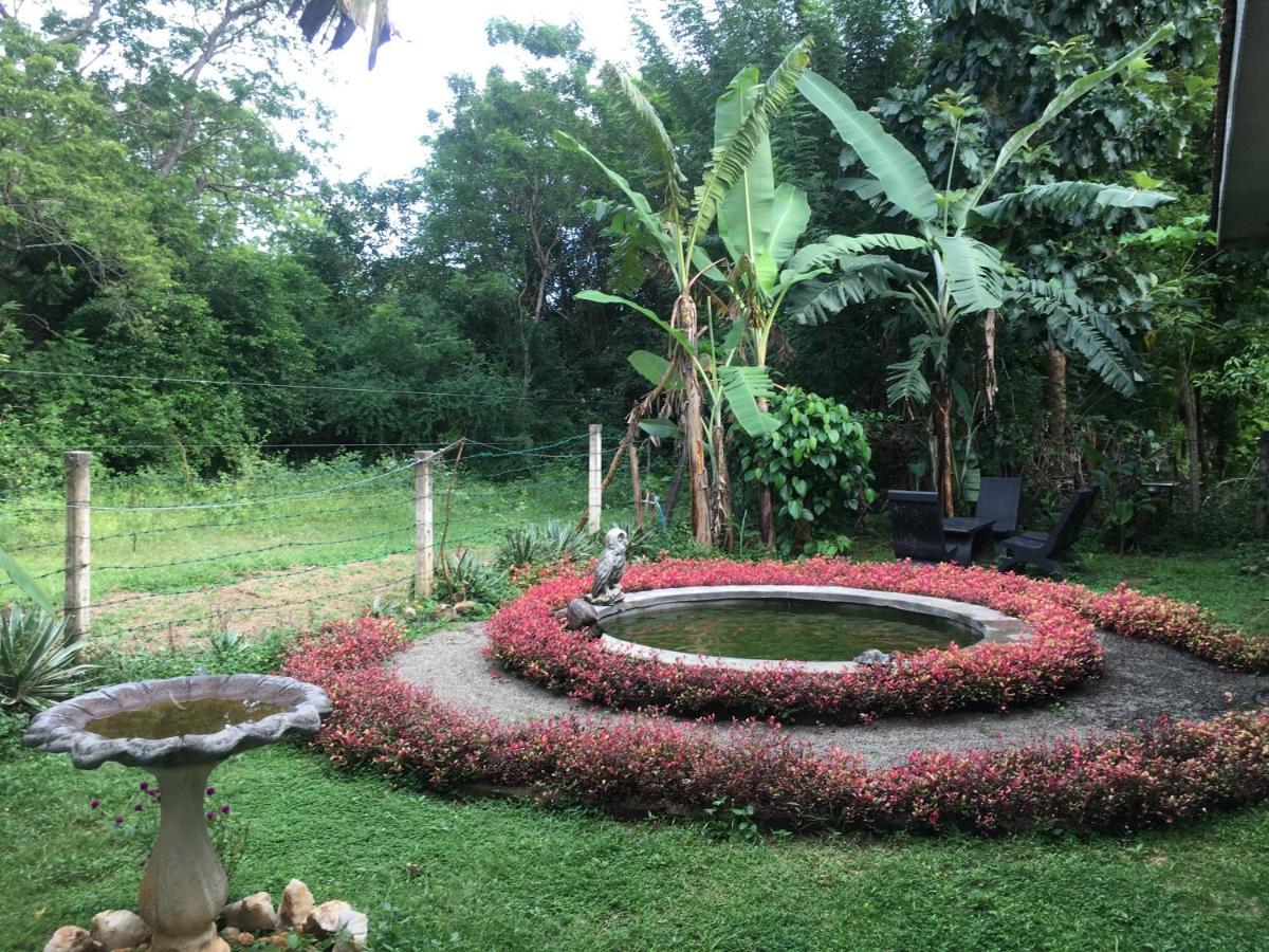 Owls Nest Hotel Udawalawe Kültér fotó