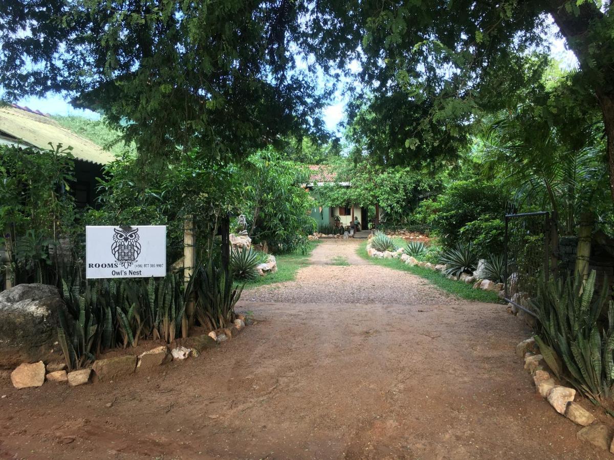 Owls Nest Hotel Udawalawe Kültér fotó