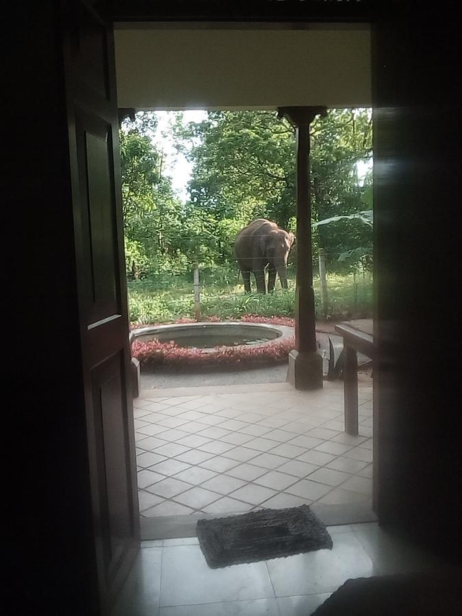Owls Nest Hotel Udawalawe Kültér fotó