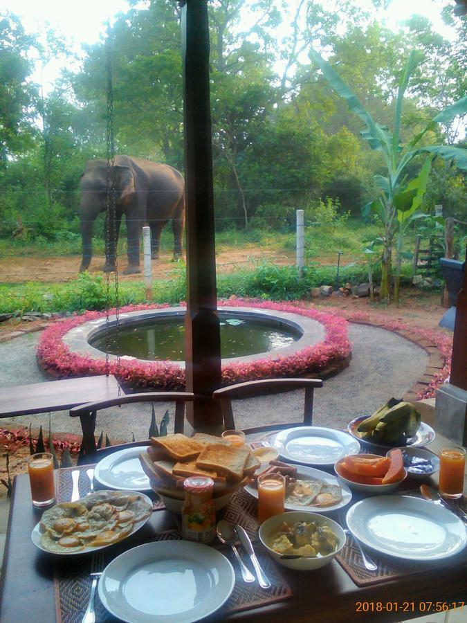 Owls Nest Hotel Udawalawe Kültér fotó